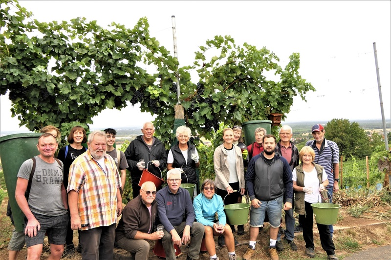 Weinleseteam